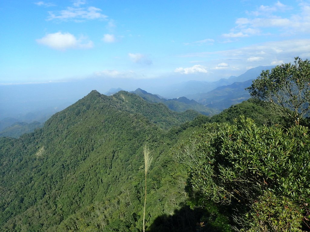 PC010614.JPG - 獅潭  仙山