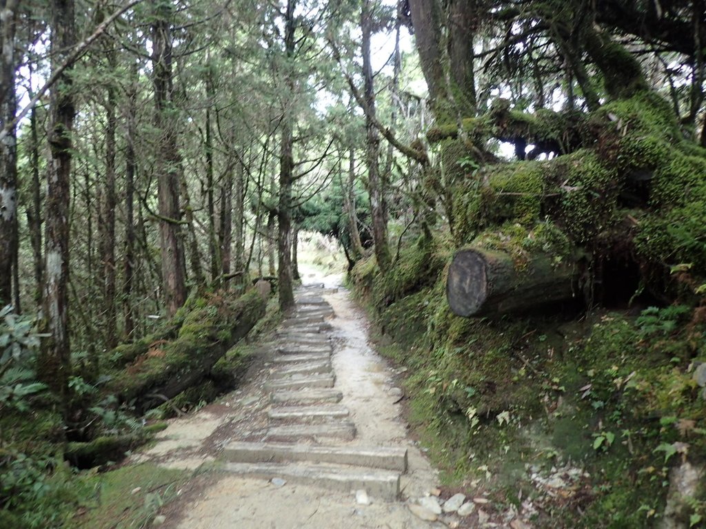 PB265393.JPG - 太平山  翠峰湖環山步道  02