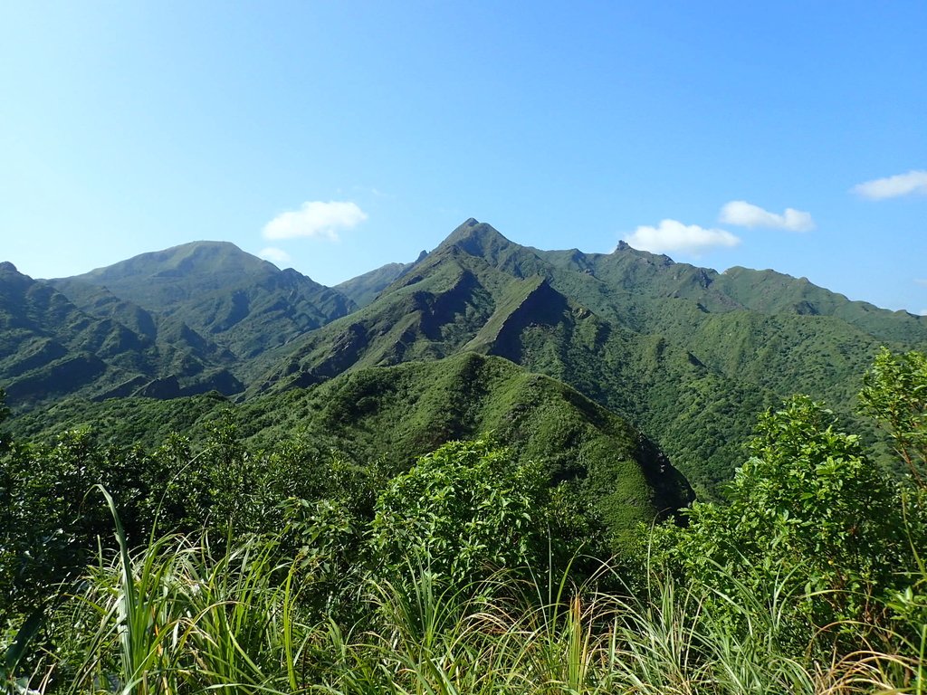 PA104811.JPG - 秋晴  南子吝山  登龍尾坪