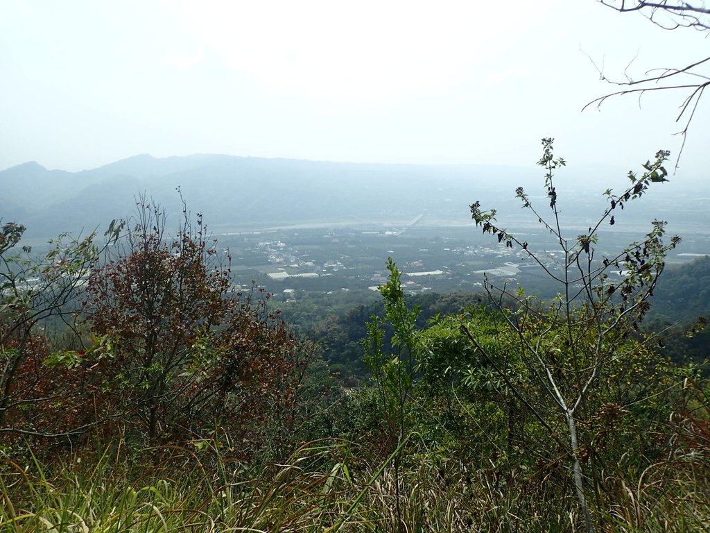 P3016062.JPG - 草屯平林  九九峰森林步道