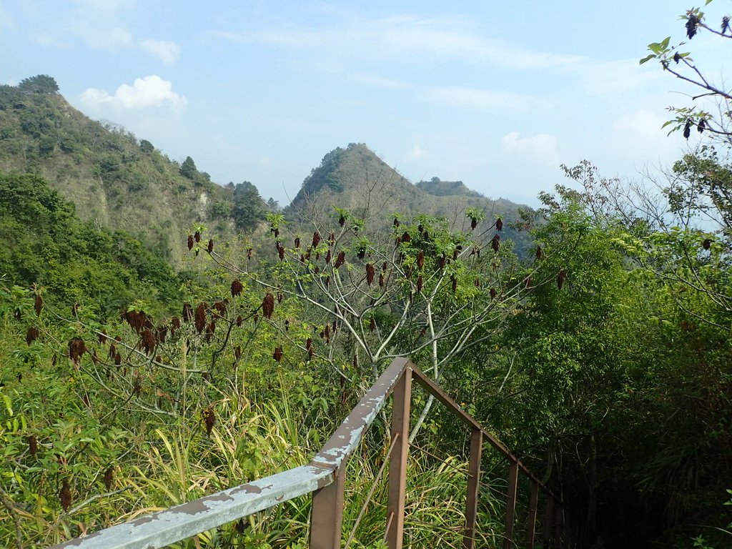 P3016116.JPG - 草屯平林  九九峰森林步道