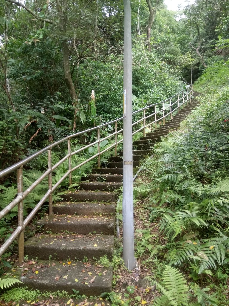 DSC_5914.JPG - 深坑  土庫岳登山步道  (01)