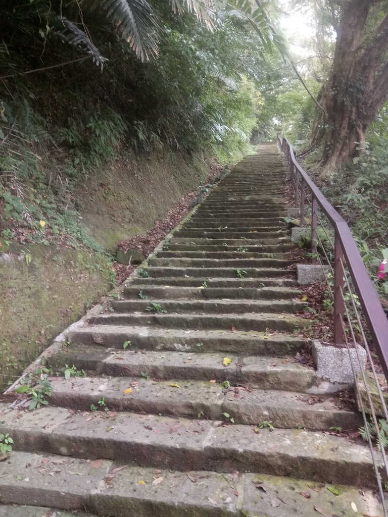 DSC_2770.JPG - 獅頭山  獅山古道  (02)