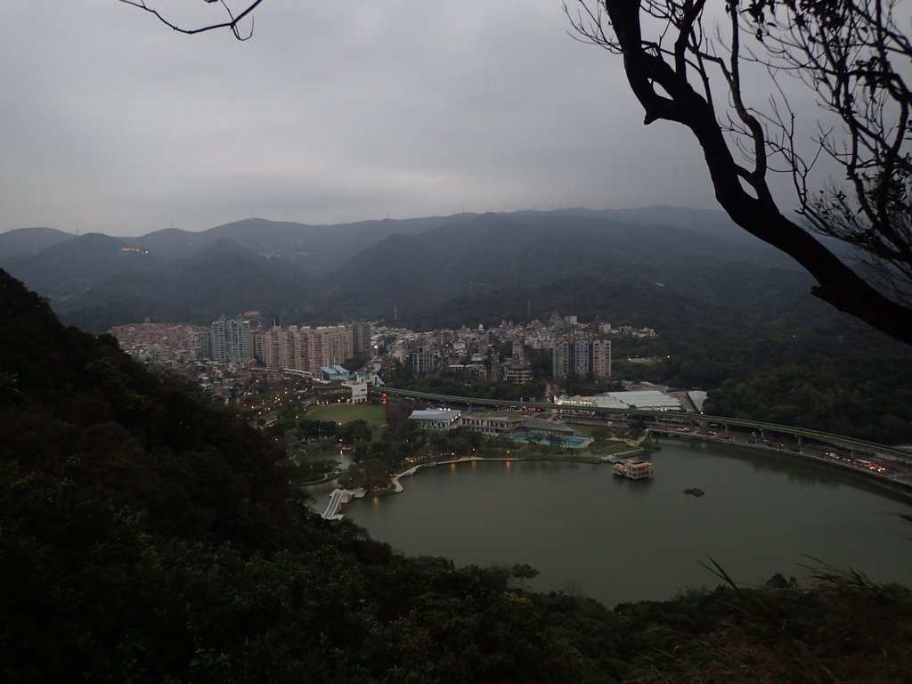 P3116955.JPG - 內湖  白鷺鷥山親山步道