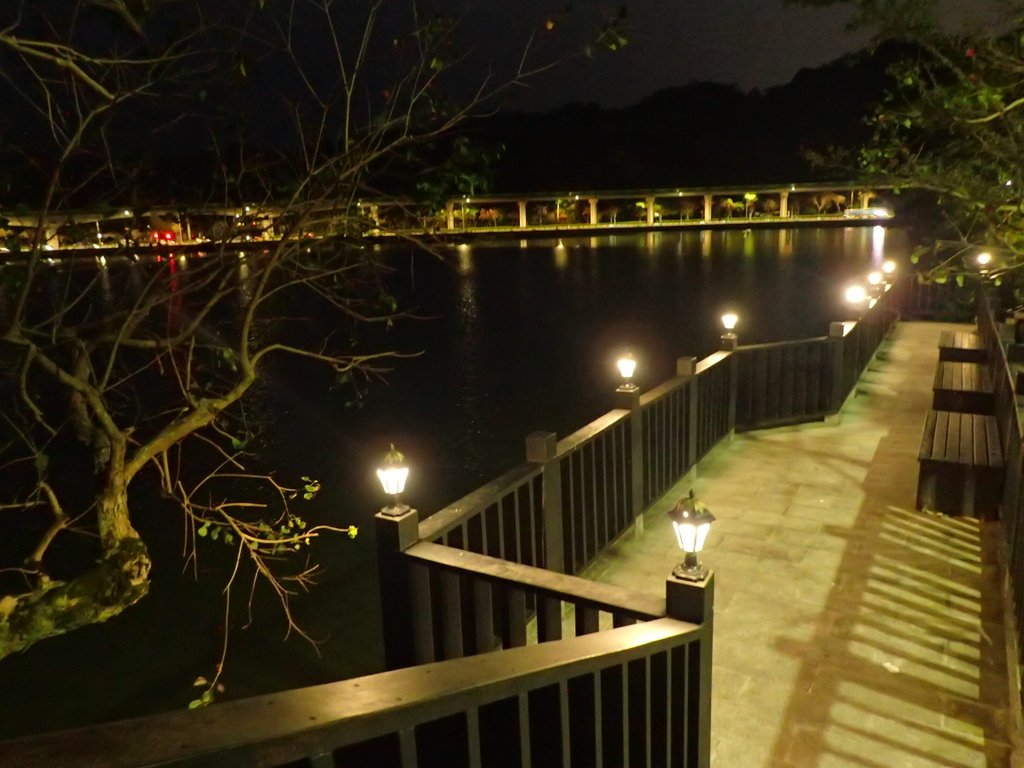 P3116965.JPG - 內湖  大湖公園之夜色