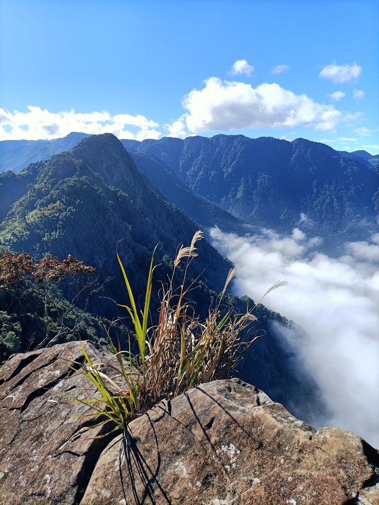 IMG20201205093249.jpg - 鹿谷  溪頭  南鳳凰山