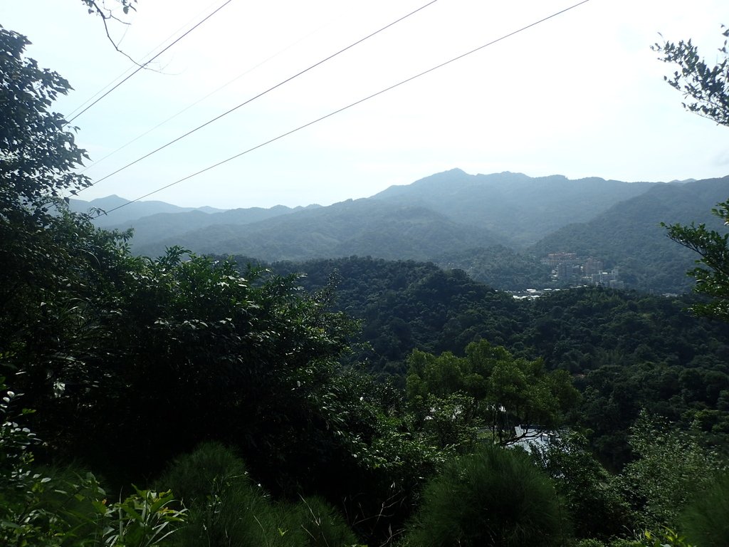 P2145347.JPG - 瑞芳  白象山(弘明山) 未竟