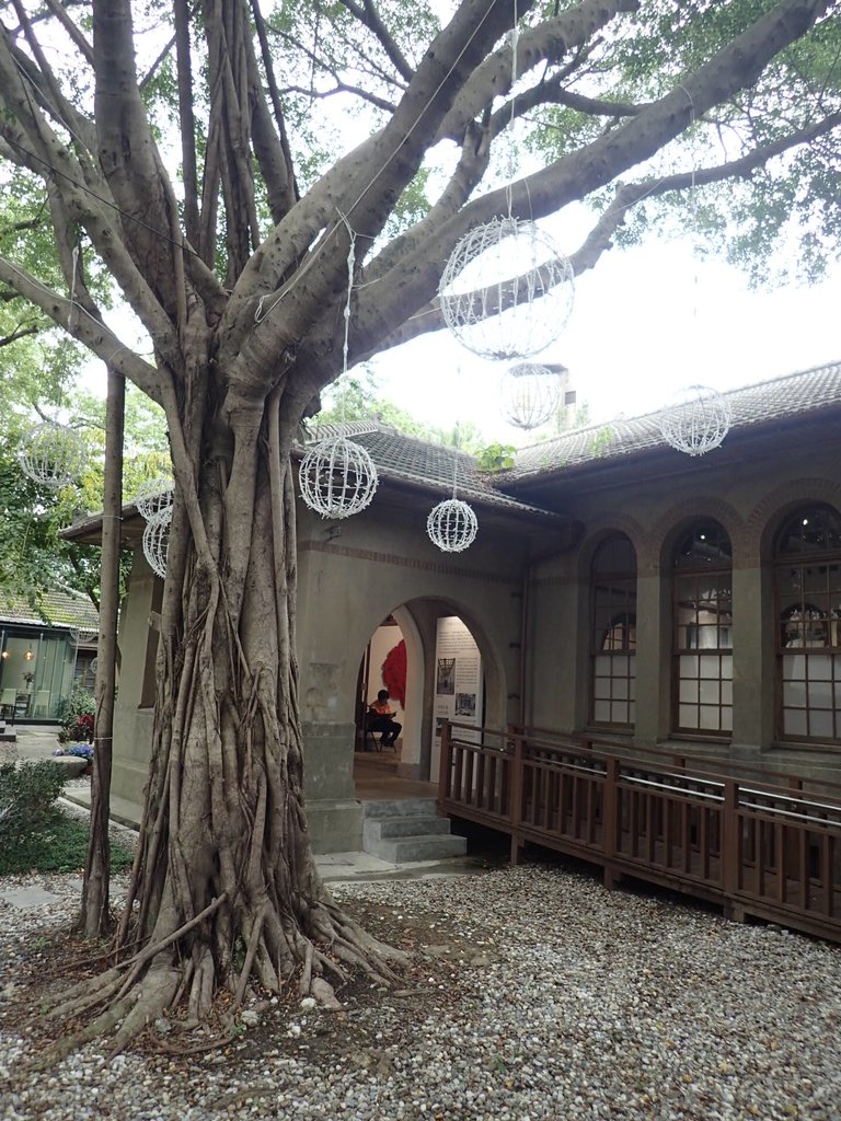 P4252060.JPG - 溫州街  大院子