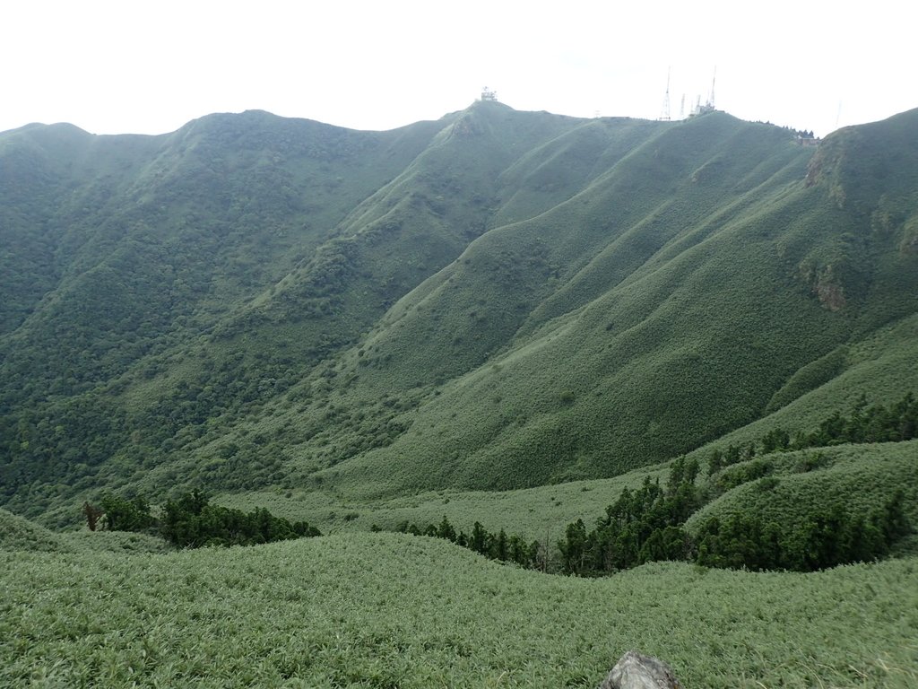 P7165513.JPG - 小觀音山  西峰登山步道