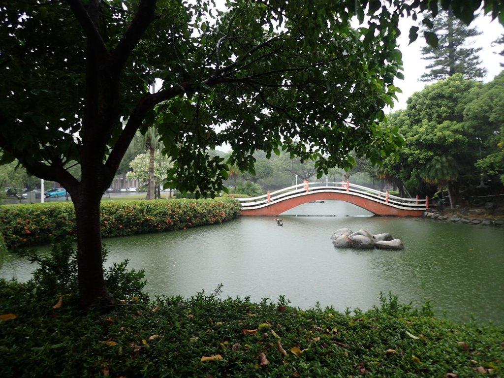 PB074478.JPG - 台南  成功大學  校園掠影