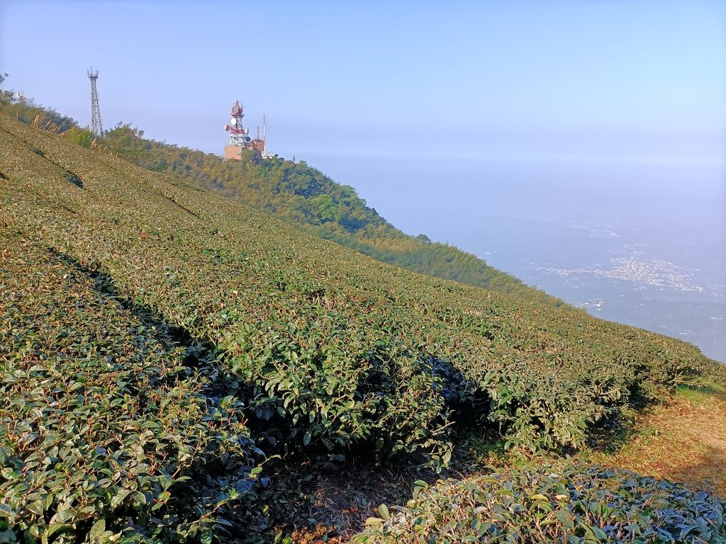 IMG20210130085835.jpg - 雲嘉連峰之  太平山  梨子腳山