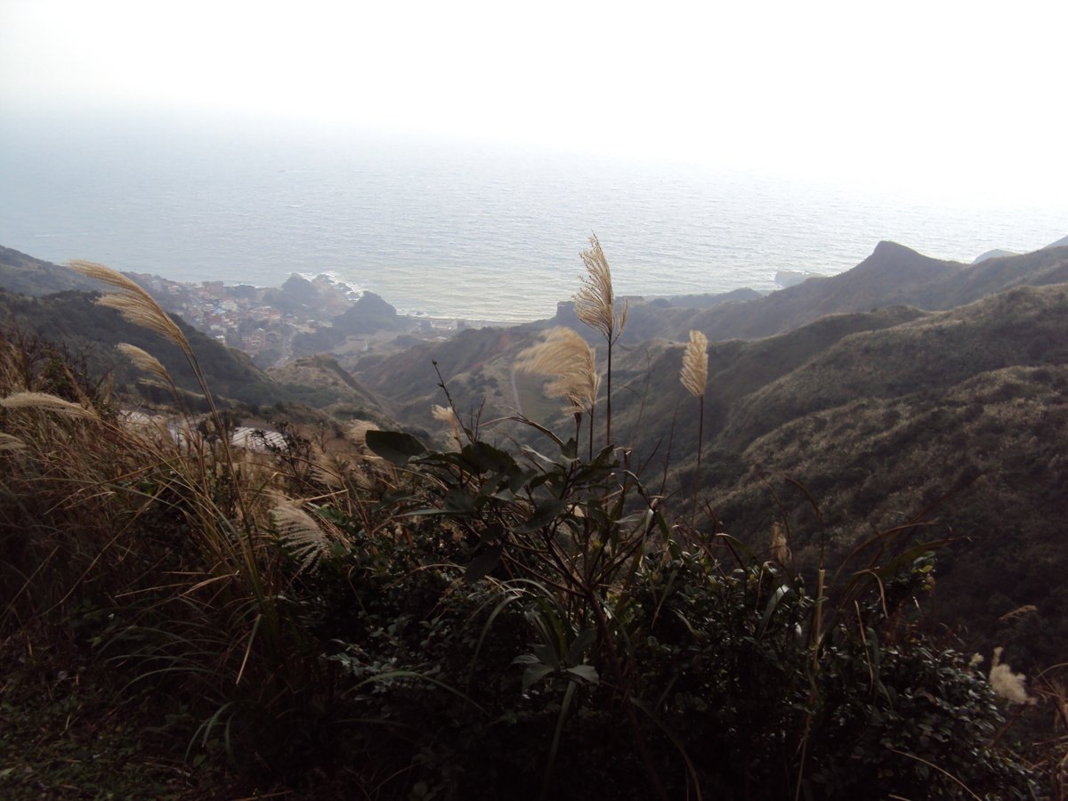 DSC03166.JPG - 無耳茶壺山產業道路