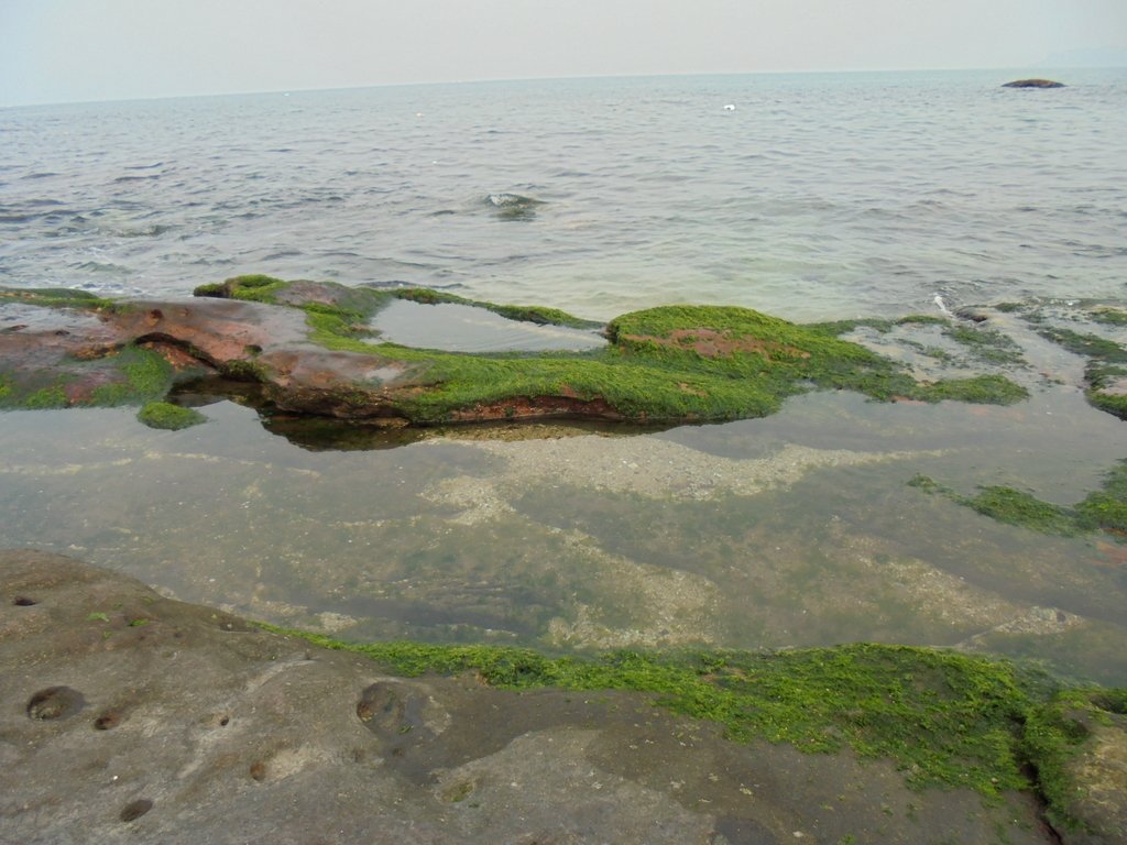 DSC01688.JPG - 金山  獅頭山  神秘海岸