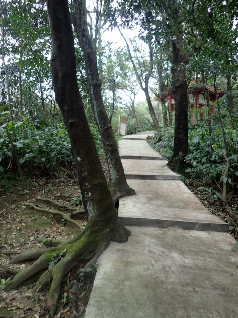 P1233725.JPG - 基隆  寶明寺