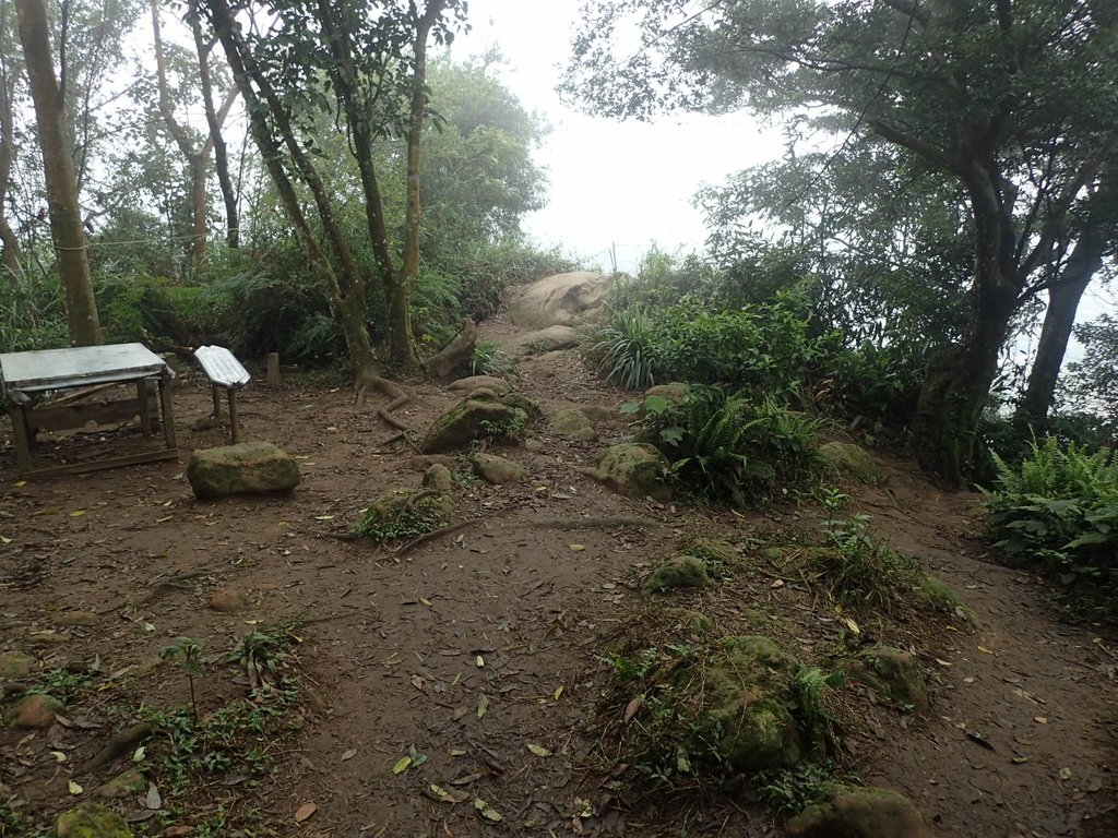 P2107527.JPG - 大溪  溪洲山登山步道