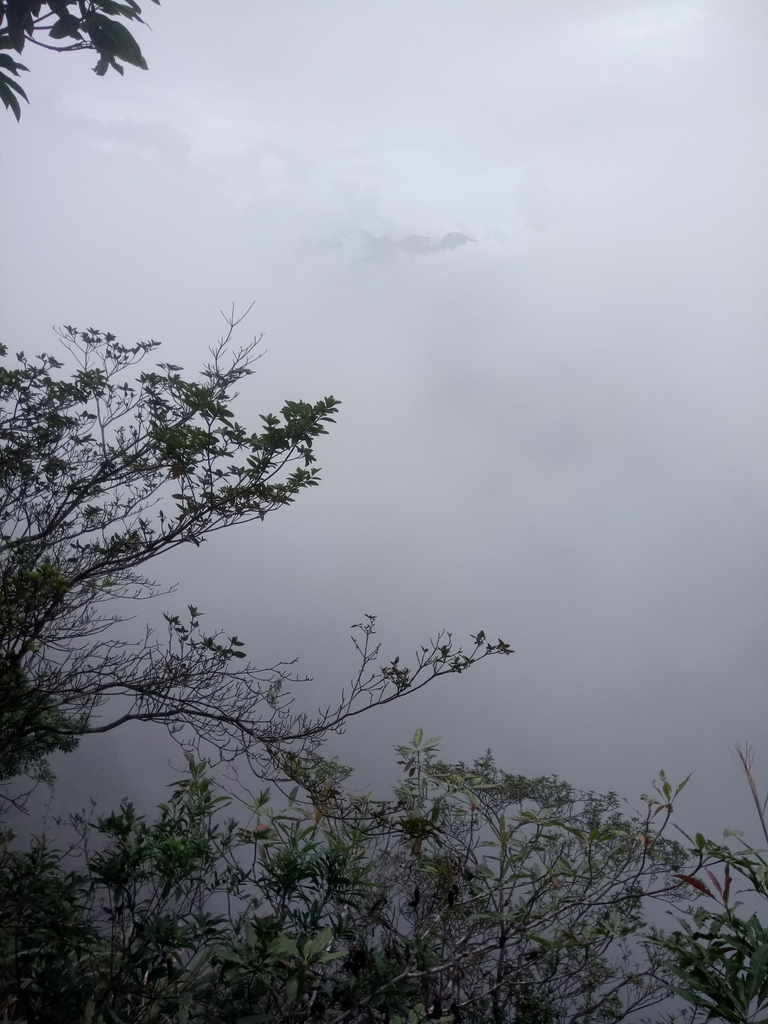 DSC_1262.JPG - 石壁山  嘉南雲峰步道