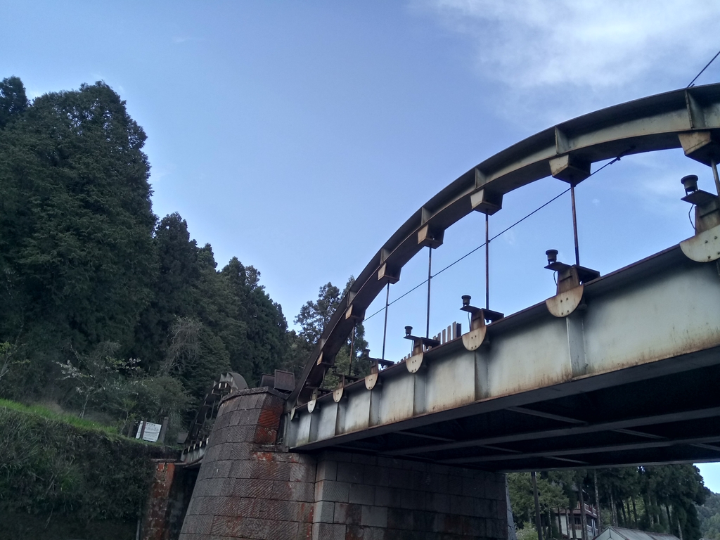 DSC_1659.JPG - 阿里山  沼平公園  賞櫻