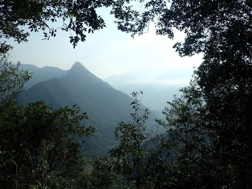 P3217537.JPG - 谷關七雄  白毛山  01