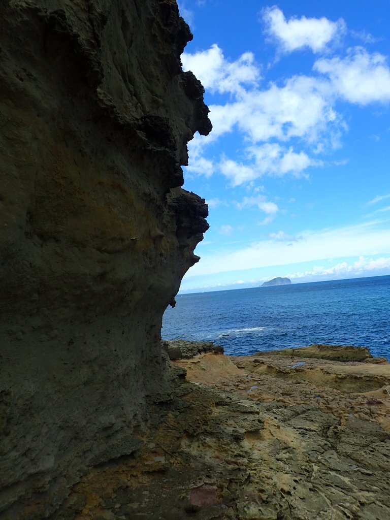 P8317658.JPG - 瑞芳  金石園  海岸岩石之美