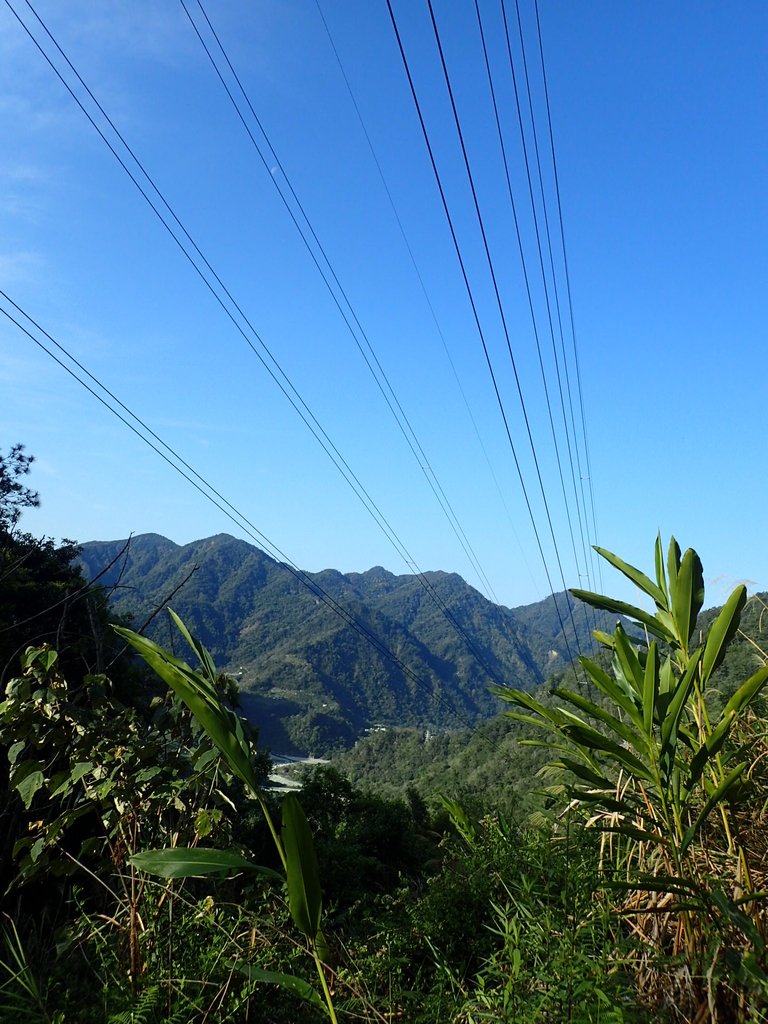 P3167134.JPG - 谷關  德芙蘭步道