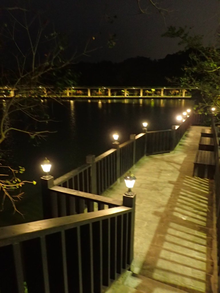 P3116967.JPG - 內湖  大湖公園之夜色