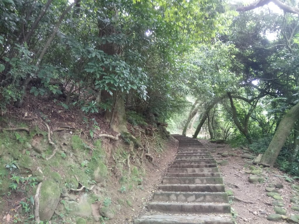 DSC_5870.JPG - 芎林  飛鳳山  (中坑山)