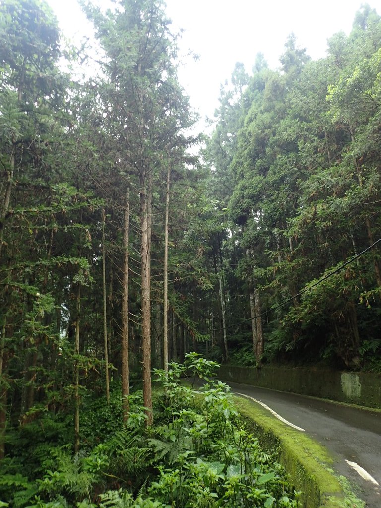 P9250142.JPG - 南庄  向天湖山  光天高山