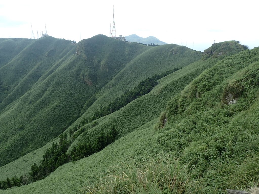 P7165514.JPG - 小觀音山  西峰登山步道