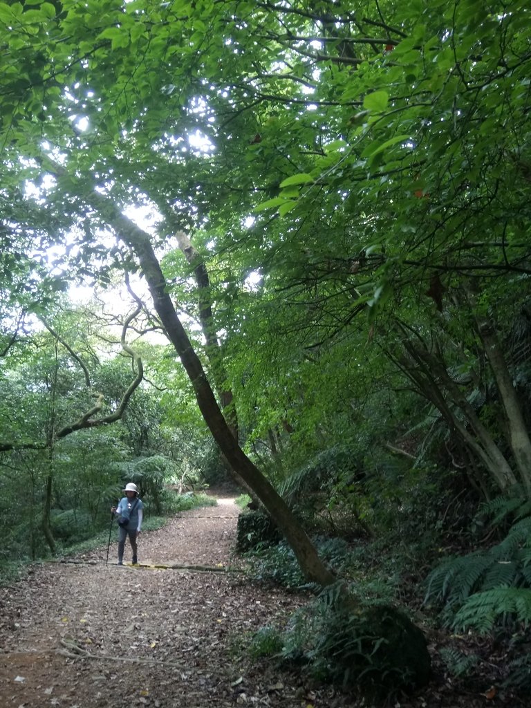 DSC_8639.JPG - 再訪  金包里大道  (魚路古道)