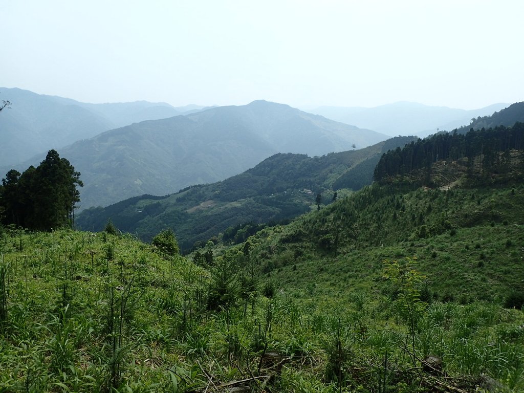 P4036940.JPG - 五峰  鵝公髻山登山步道  (02)