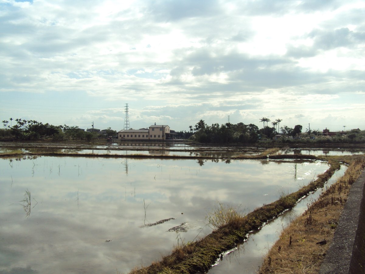 DSC03927.JPG - 頭城地區的水田景色