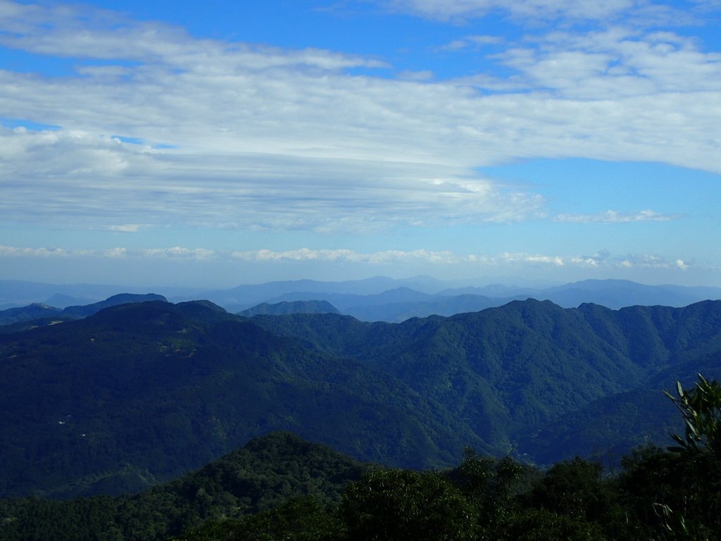 PB257511.JPG - 復興  東眼山森林步道