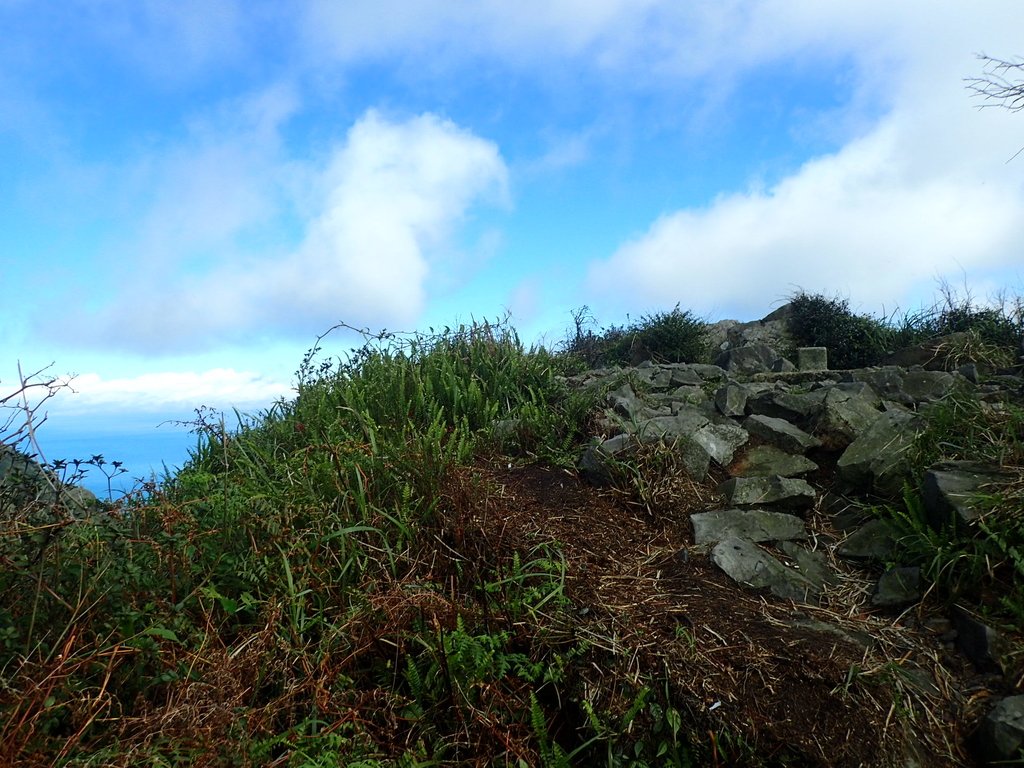 P1102299.JPG - 樹梅礦場  燦光寮山