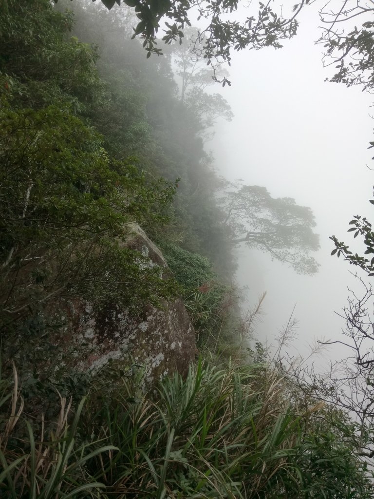 DSC_1273.JPG - 石壁山  嘉南雲峰步道