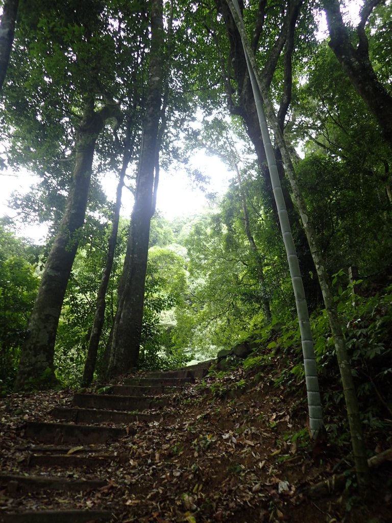 PA231699.JPG - 石壁山  嘉南雲峰步道