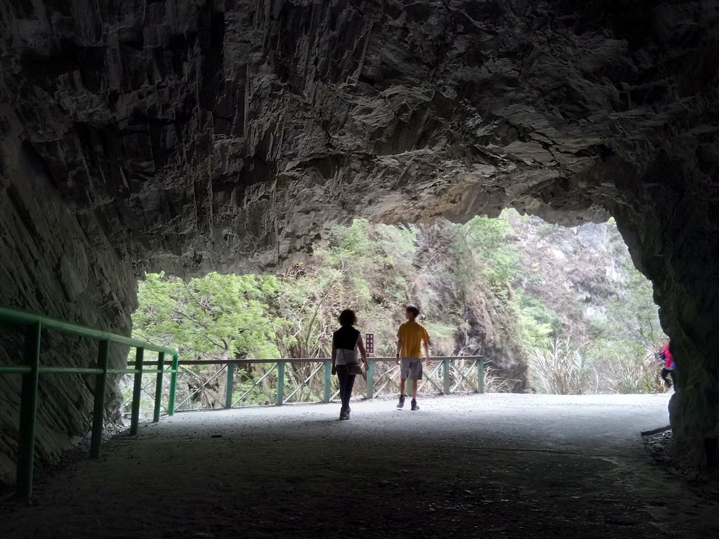 DSC_0551.JPG - 花蓮  天祥  白楊步道