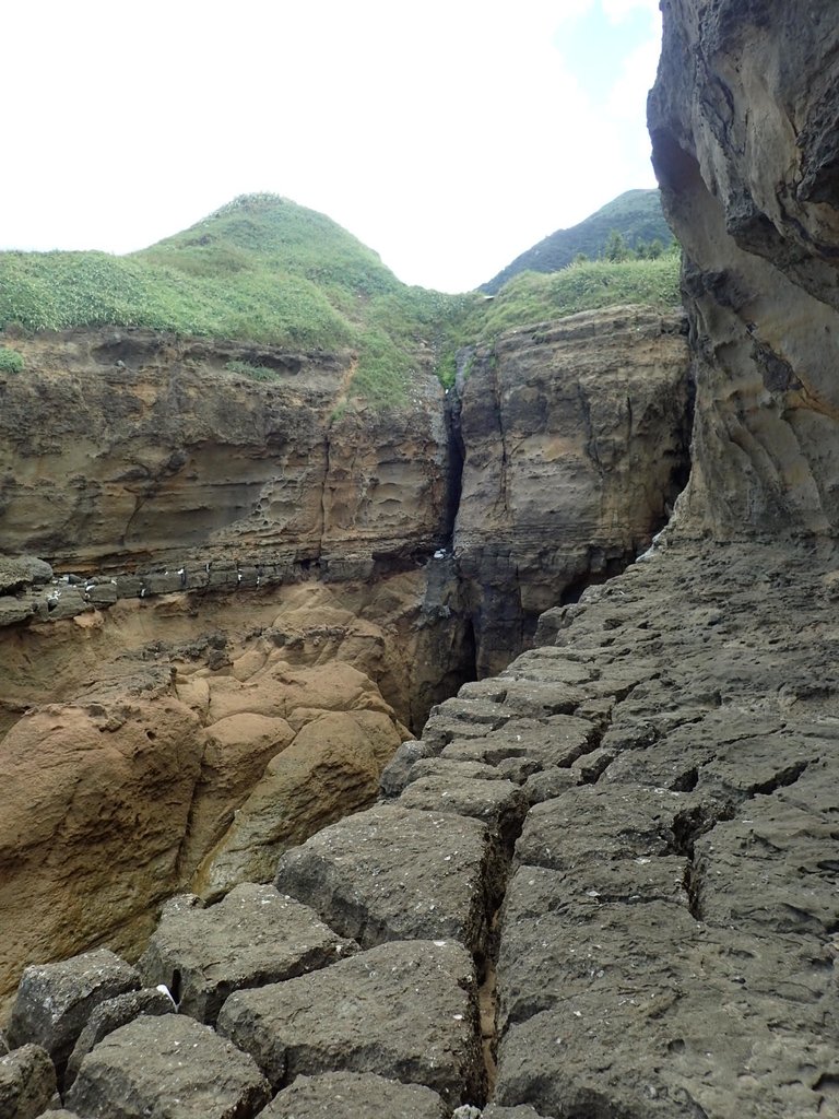 P8317660.JPG - 瑞芳  金石園  海岸岩石之美