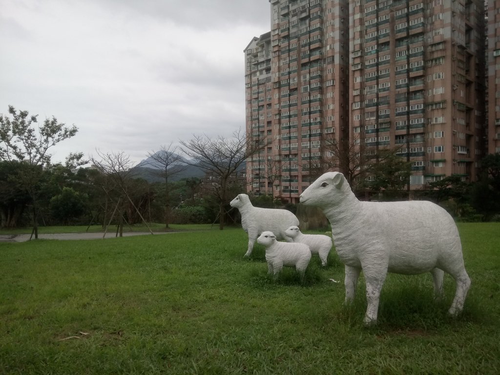 DSC_8101.JPG - 基隆  早安國揚社區公園