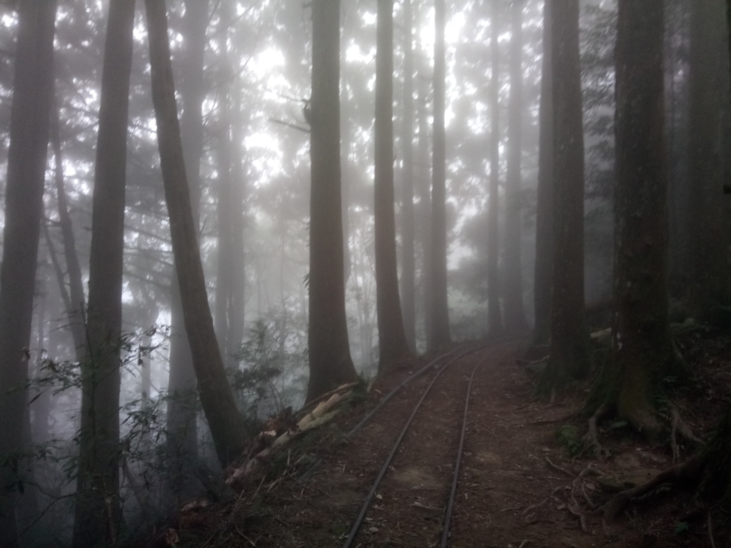 DSC_3795.JPG - 南庄  加里山  森林鐵道