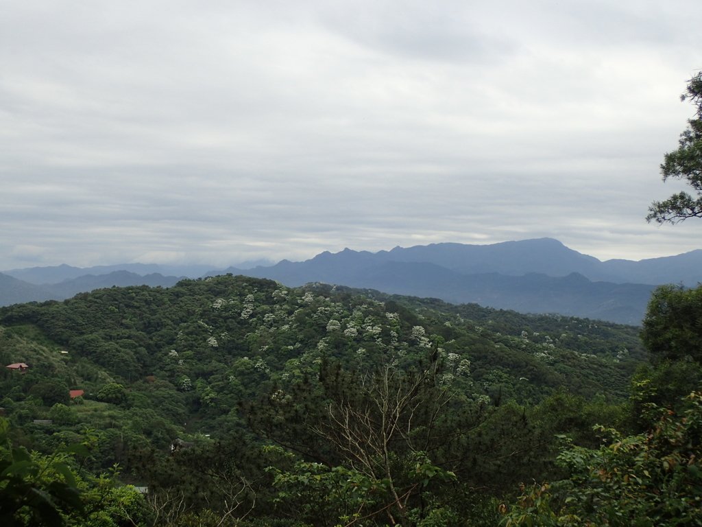 P4272137.JPG - 芎林  飛鳳山  (中坑山)