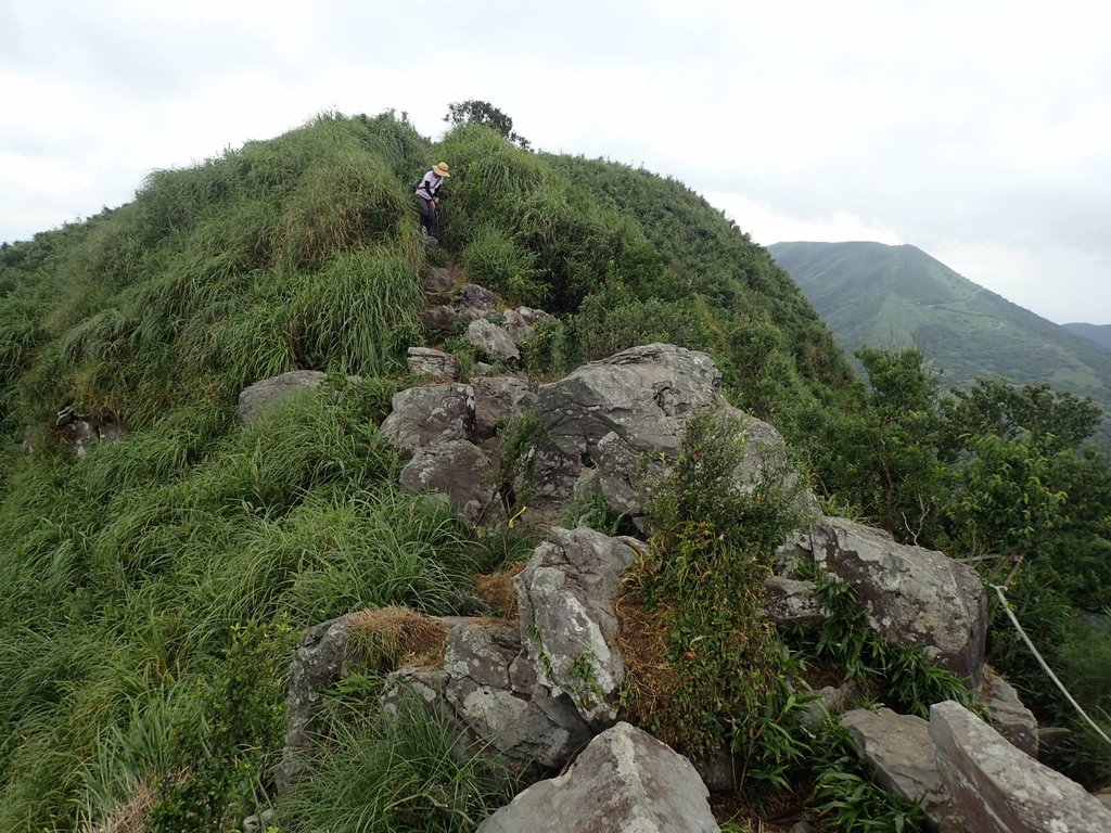 P7165515.JPG - 小觀音山  西峰登山步道