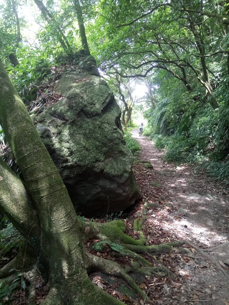 DSC_8641.JPG - 再訪  金包里大道  (魚路古道)