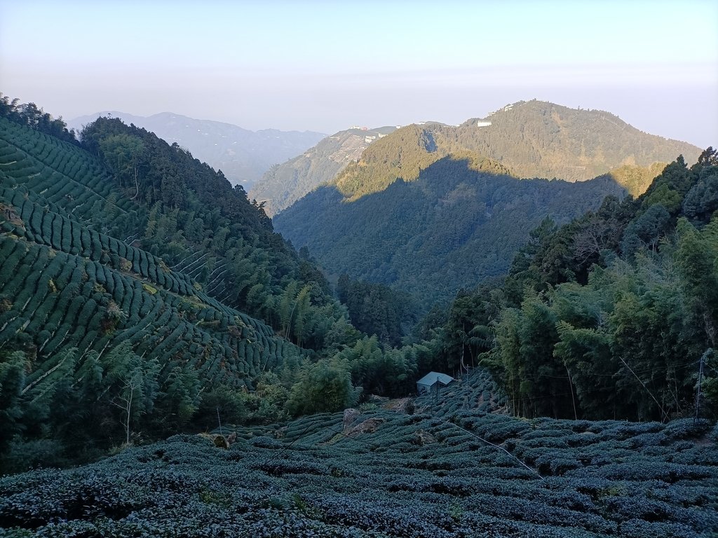 IMG20210205074442.jpg - 竹山  留龍頭  茶園風光