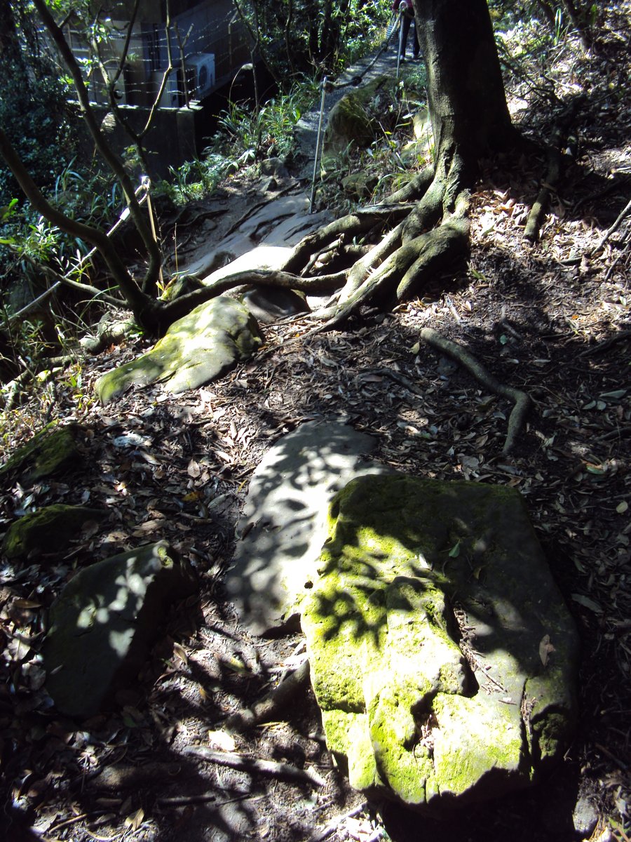 DSC01970.JPG - 三峽  鳶山登山步道