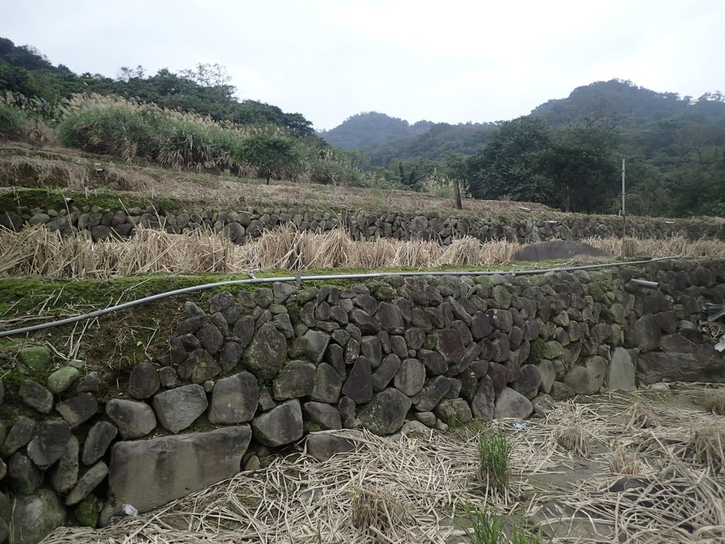 P1264000.JPG - 金山  大路崁古道