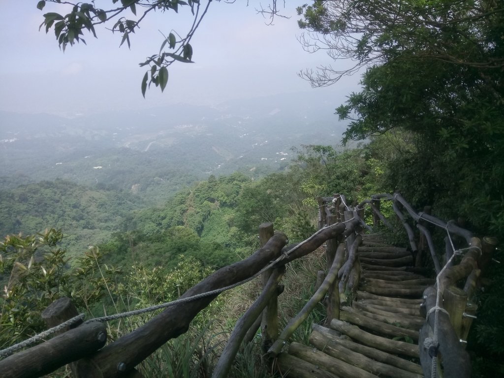 DSC_1262.JPG - 大坑四號步道  頭嵙山