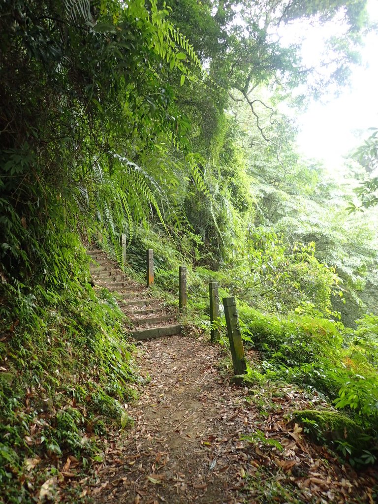 PA231701.JPG - 石壁山  嘉南雲峰步道