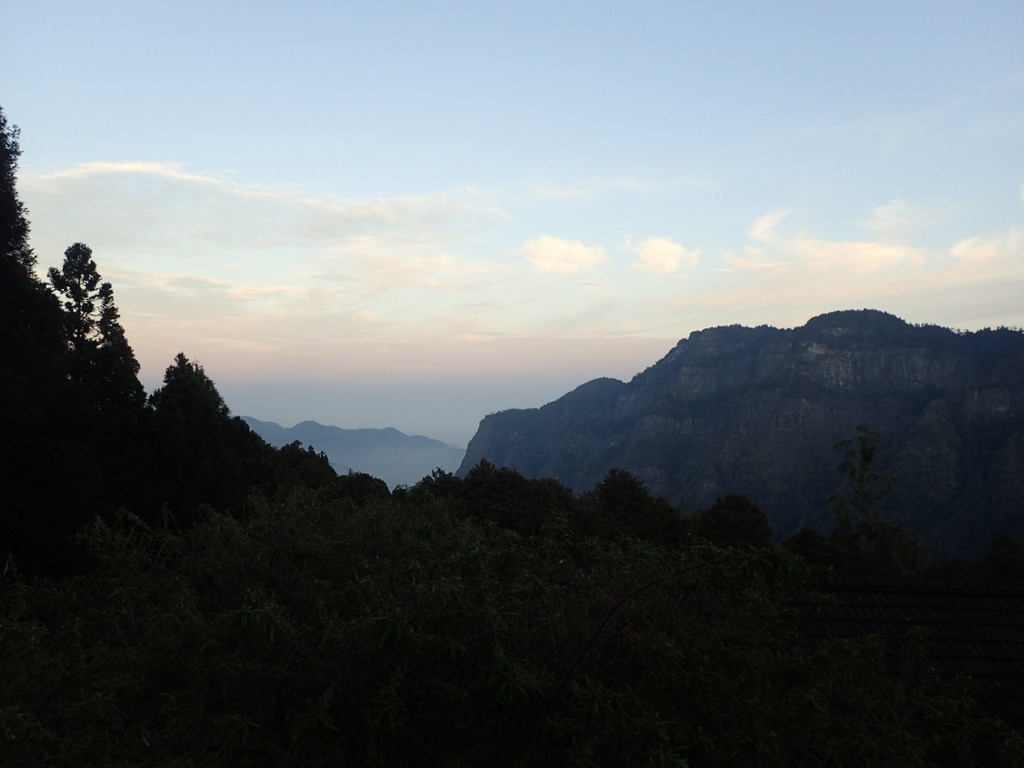 P3268011.JPG - 阿里山  沼平公園  賞櫻