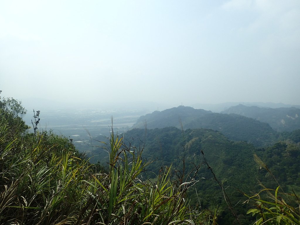 P3016113.JPG - 草屯平林  九九峰森林步道