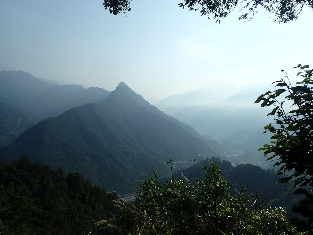 P3217550.JPG - 谷關七雄  白毛山  01